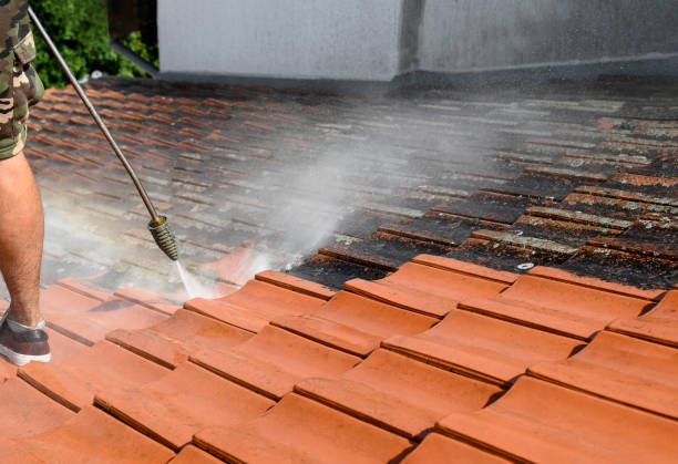 Best Pressure Washing Near Me  in Linden, TX